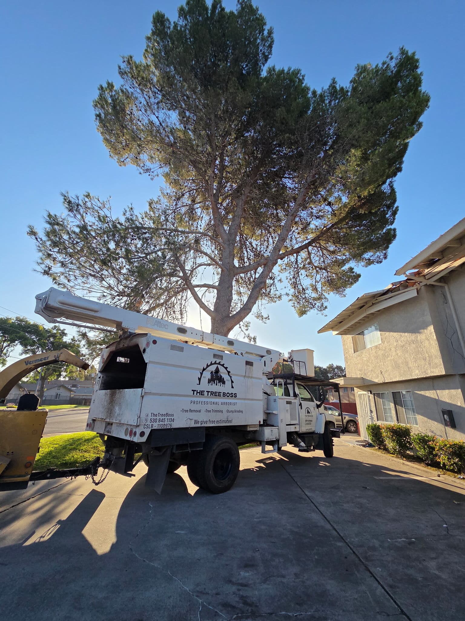 Bucket truck and chipper parked in a driveway under a large pine